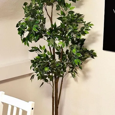 Apartman City-apartment In - Beuys -