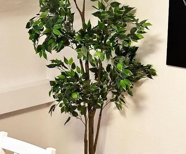 Apartment City-apartment In - Beuys -